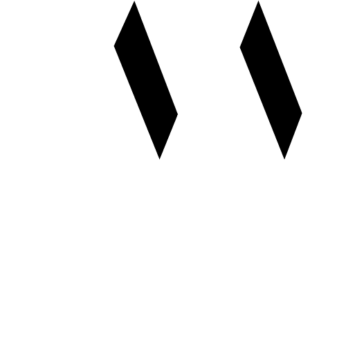 Weston Analytics Logo White